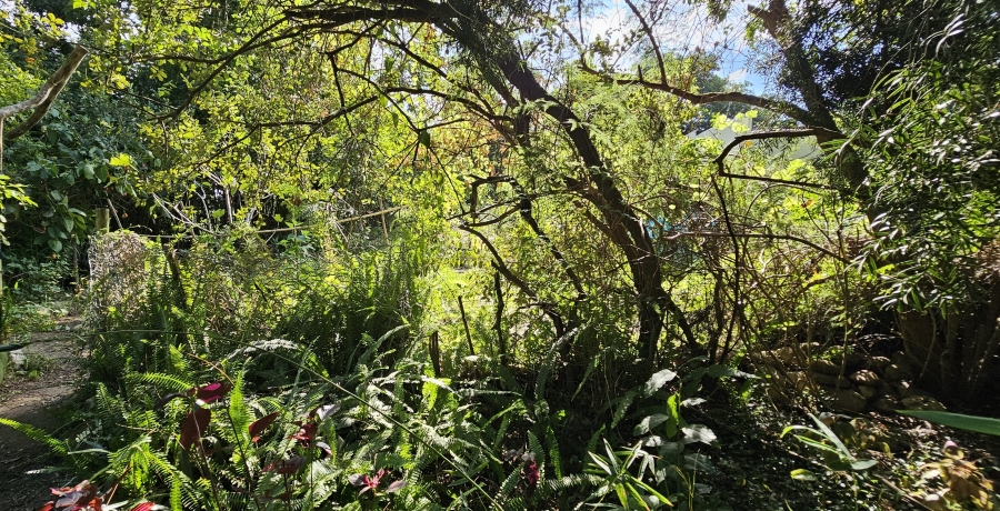 5 Bedroom Property for Sale in Swellendam Western Cape